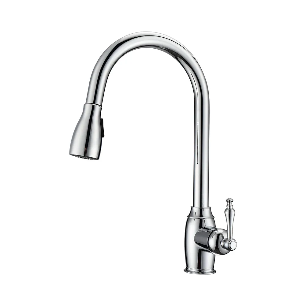 Bistro Single Handle Kitchen Faucet with Single Handle 1