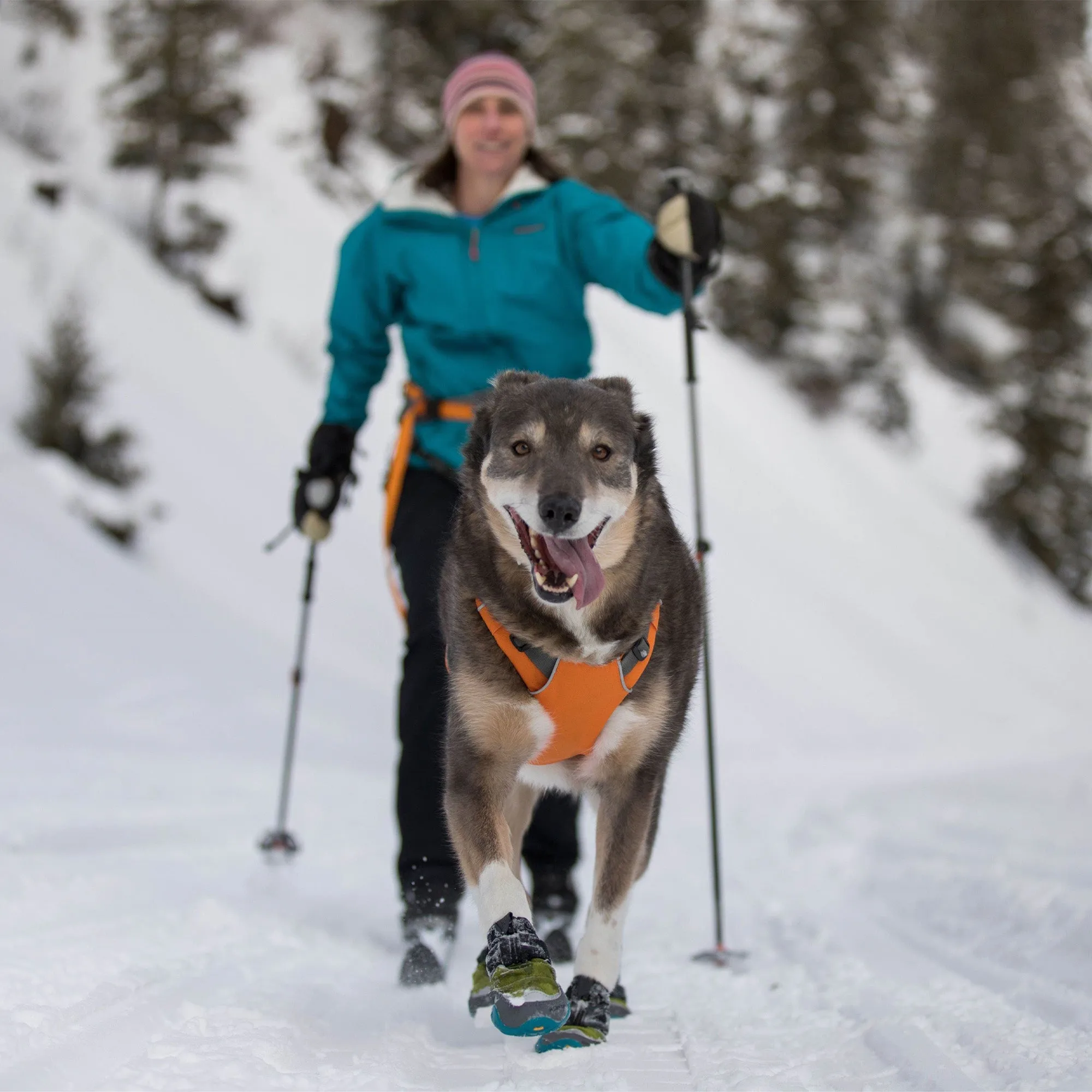 Omnijore™ Dog Joring System