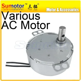 TYC synchronous gear motor